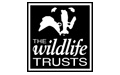 devon-wildlife-trust-logo