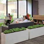 Flexible Working & The Third Place – R.I.P. The Traditional Workplace